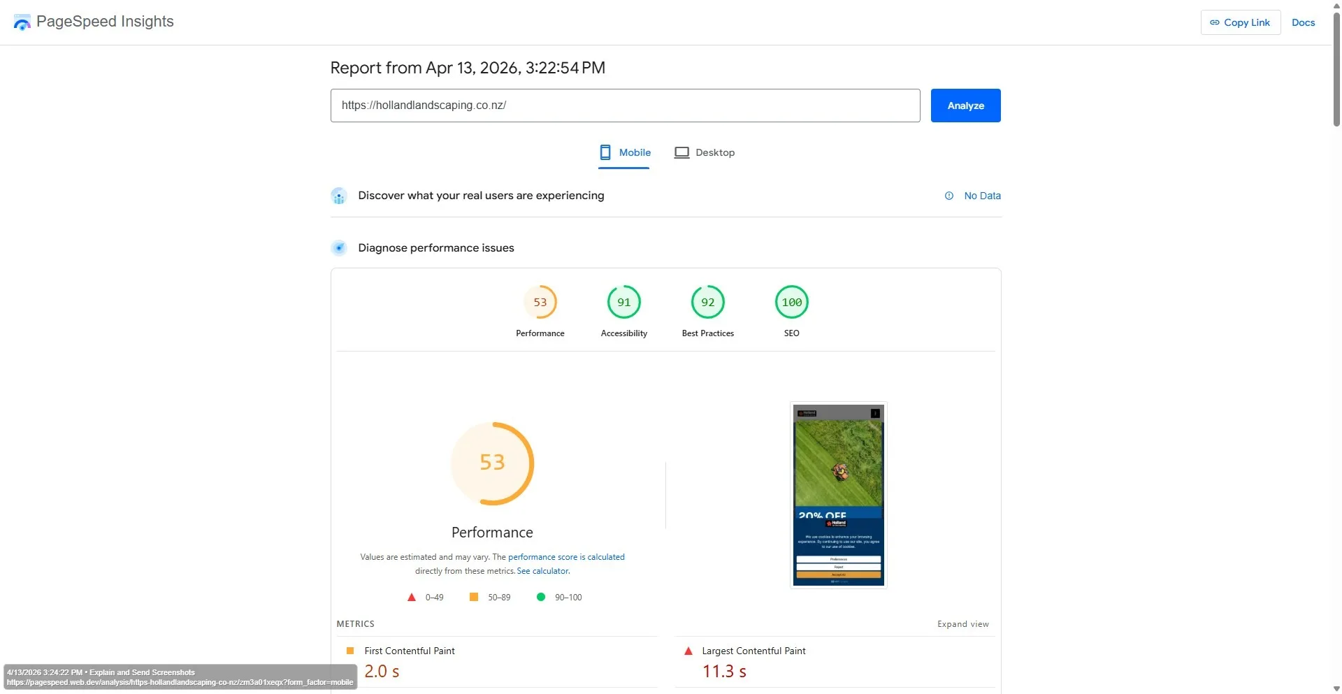 PageSpeed Insights Mobile